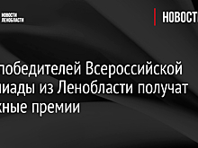 Семь победителей Всероссийской олимпиады из Ленобласти получат денежные премии