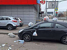 В Москве люди забросали мусором машину из-за неправильной парковки