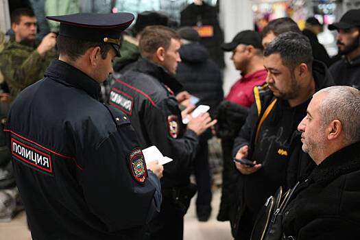 Названы главные особенности одобренной Путиным новой миграционной политики России