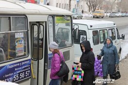 Четко по расписанию.Сколько автобусов выходит каждый день на улицы города?