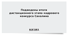 Подведены итоги дистанционного этапа кадрового конкурса Сахалина