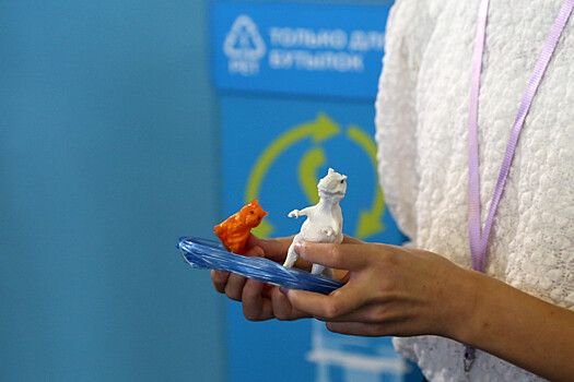 Экоакция «Вторая жизнь пластика» прошла в школе №14 во Владивостоке