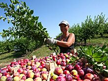 В Европе растет интерес к российским продуктам, заявили в РЭЦ
