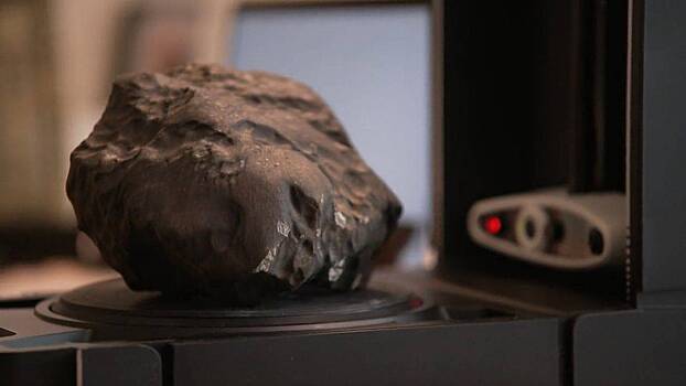 Мужчине предложили 17 млн рублей за найденный в его саду метеорит