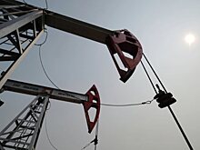 Путин поручил продолжить работу по заморозке добычи нефти