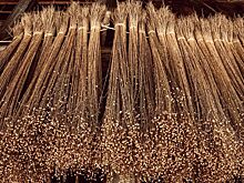 Возрождение: льняную биржу предложили создать в Костроме