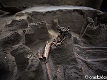 Археологи приступили к раскопкам нетипичного кургана в Омской области