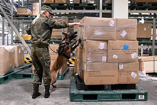 Объем теневого импорта в Россию оценили