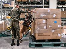 Объем теневого импорта в Россию оценили