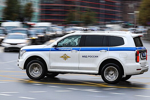 В Электростали у женщины нашли 312 свертков с наркотиками