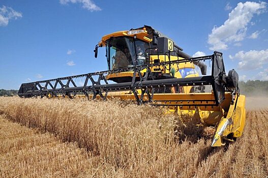 Украинское зерно и земли на деле принадлежат западным корпорациям