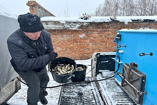 Алтайские энергетики помогают зарыблять реку Обь