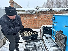 Алтайские энергетики помогают зарыблять реку Обь