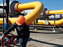 Украина подсчитала, сколько дней страна существует без российского газа