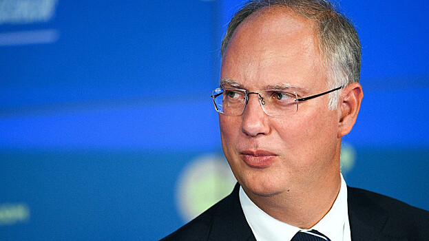 Глава РФПИ предсказал появление новых стай «черных лебедей»
