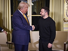 Трамп потрепал Зеленского за щеку на саммите НАТО: «Ох, и стыд»