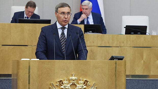 В Государственной Думе прошел «правительственный час» с участием Валерия Фалькова