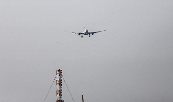 Самолет ушел на второй круг в Волгограде из-за угрозы столкновения с птицами