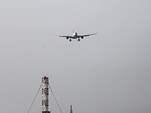 Самолет ушел на второй круг в Волгограде из-за угрозы столкновения с птицами