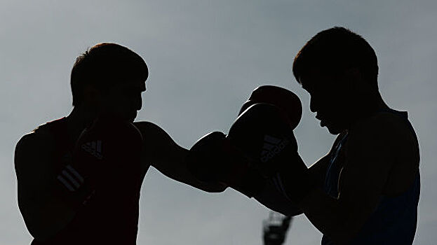 Турнир по профессиональному боксу среди тяжеловесов пройдет 25 июня