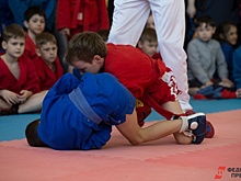 В главы Троицкого района стремится только молодежь