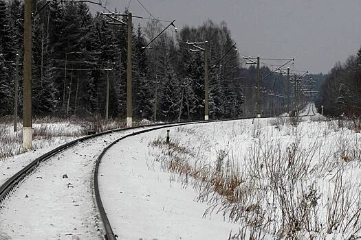 Стихия парализовала движение поездов в российском регионе