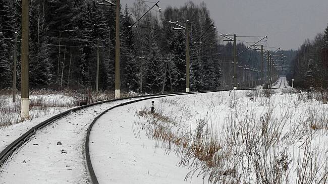 Стихия парализовала движение поездов в российском регионе