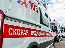 «МК»: семиклассник из Королёва оказался в реанимации из-за обрушения стены на заброшенной даче