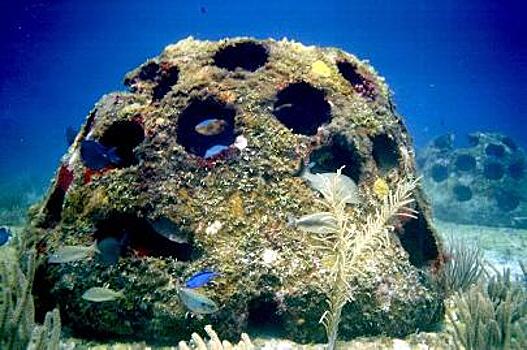 У побережья Хайнаня создадут искусственные рифы