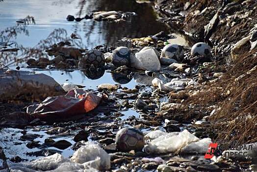 Свердловская фирма ответит в суде за нарушения при утилизации медотходов в Сургуте