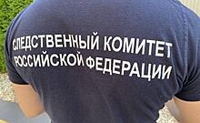 Глава СК России заинтересовался сюжетом о хищении бюджетных средств в Курской области