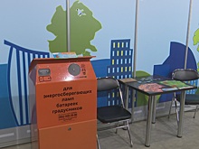 Воронежцы наглядно показали, что мусор может быть и красивым, и полезным