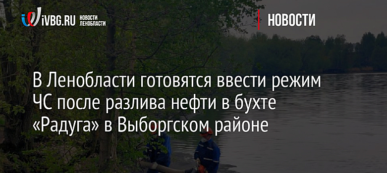 В Ленобласти готовятся ввести режим ЧС после разлива нефти в бухте «Радуга» в Выборгском районе