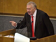 Жириновский предложил радикальный способ снижения цен