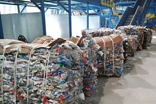 Омскую область хотят очистить от мусора за шесть лет