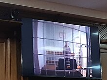"Вину не признаю, пытаемся рассчитаться": супругов Решетовых по делу "рыбной пирамиды" оставили в СИЗО