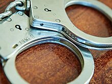 Главу компании "Настюша" арестовали за задержку строительства ЖК Царицыно