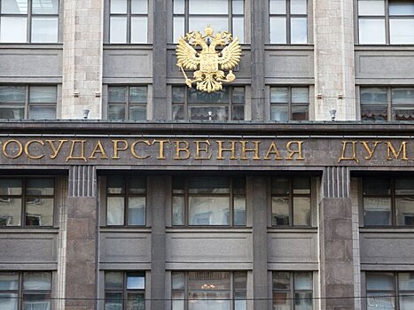 Госдума наградит грамотой пенсионера, задержавшего грабителя в Щелкове