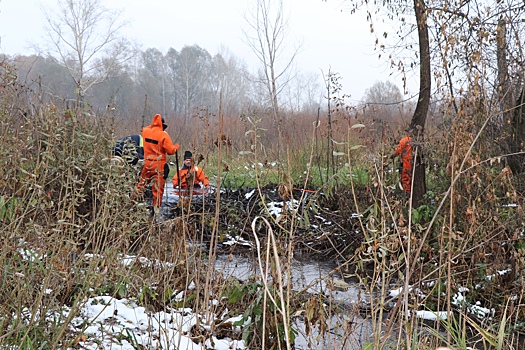 Бобры своей плотиной затопили мост в Кемерове