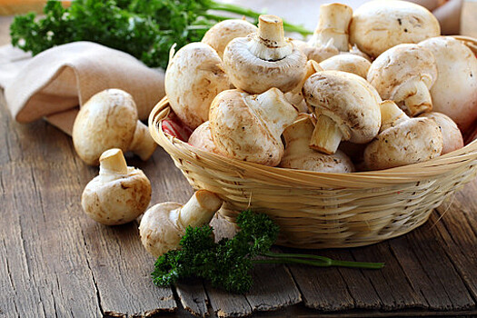 Ученые рассказали, как грибы могут улучшить психическое состояние