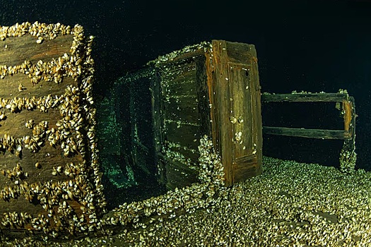 Водолазы добрались до неопознанного объекта на дне озера Онтарио