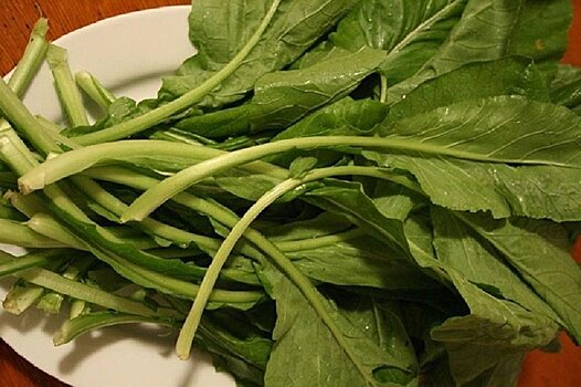 Горчица – популярная пикантная пряность или полевой сорняк