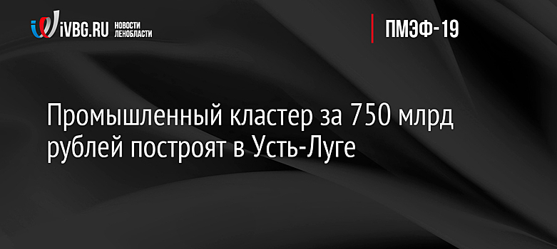 Промышленный кластер за 750 млрд рублей построят в Усть-Луге