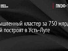 Промышленный кластер за 750 млрд рублей построят в Усть-Луге
