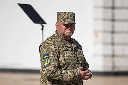 Стало известно о новом звании Залужного