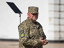 Стало известно о новом звании Залужного