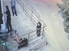 Избиения подростков в Заречном: о ходе проверки доложат в СК РФ