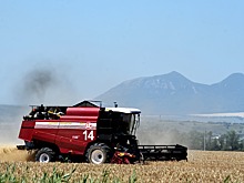 Аграрии Ставрополья приступили к уборке зерновых культур