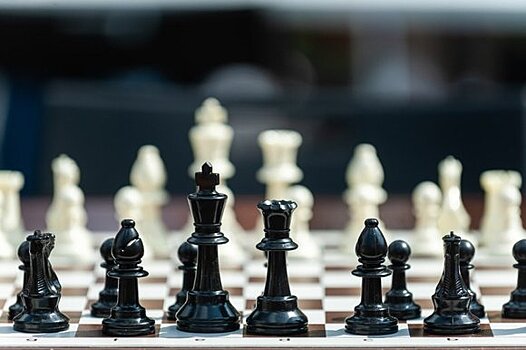 Воспитанники образовательного комплекса “Воробьевы горы” выиграли две золотые медали на первенстве Европы по шахматам