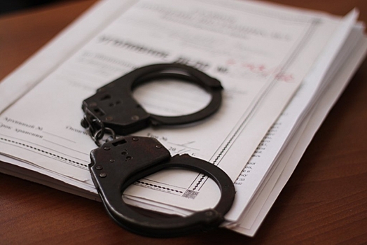 Полиция в Москве задержала объявленного в федеральный розыск грабителя